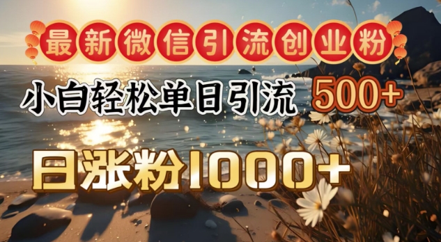 最新微信引流创业粉，小白单日轻松引流500+，日涨粉1000+-小何资源库
