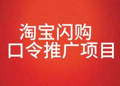 淘宝闪购口令推广项目，收益可观，一部手机，一个抖音号即可操作-小何资源库