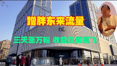 蹭胖东来流量，三天涨万粉，收益直接起飞-小何资源库