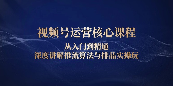 （13863期）视频号运营核心课程，从入门到精通，深度讲解推流算法与排品实操玩-小何资源库