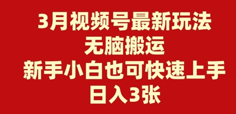 3月视频号最新玩法，无脑搬运，新手小白也可快速上手，日入3张-小何资源库
