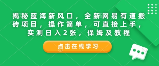 揭秘蓝海新风口，全新网易有道搬砖项目，操作简单，可直接上手，实测日入2张，保姆及教程-小何资源库