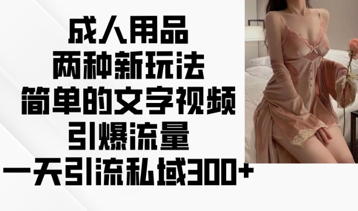 成人用品两种新玩法，简单的文字视频引爆流量，一天引流私域300+-小何资源库