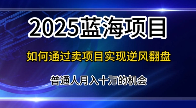 2025蓝海项目，普通人如何通过卖项目实现逆风翻盘，月入10个【揭秘】-小何资源库
