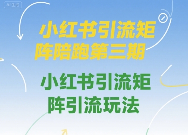 小红书引流矩阵陪跑第三期，小红书引流矩阵引流玩法-小何资源库