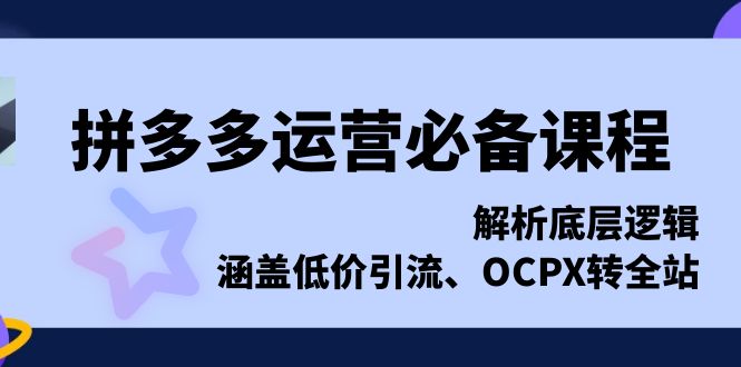 （13700期）拼多多运营必备课程，解析底层逻辑，涵盖低价引流、OCPX转全站-小何资源库