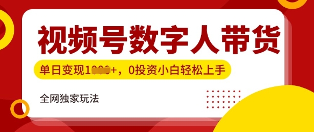 最新视频号数学人带货实操玩法，新手单日轻松多张，全程干货-小何资源库