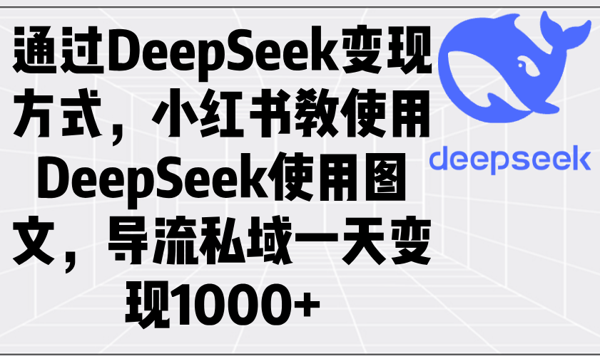 （14179期）通过DeepSeek变现方式，小红书教使用DeepSeek图文，导流私域一天变现1000+-小何资源库