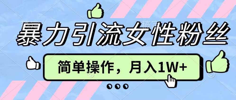 操作“零难度”小众项目，疯狂引流女性粉丝，月入轻松破 1W+-小何资源库
