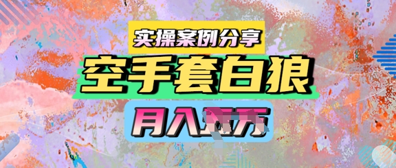 空手套白狼，月入过1W，实操案例分享-小何资源库