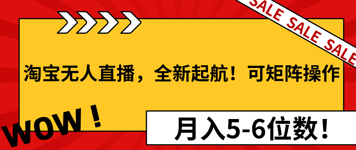 （13946期）淘宝无人直播，全新起航！可矩阵操作，月入5-6位数！-小何资源库