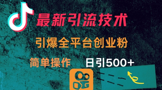 最新引流方法，引爆全平台的一个创业粉，简单操作日引300+-小何资源库