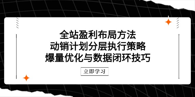 （14698期）全站盈利布局方法：动销计划分层执行策略，爆量优化与数据闭环技巧-小何资源库