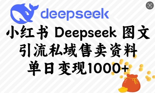 小红书Deepseek图文引流私域售卖资料，单日变现多张-小何资源库