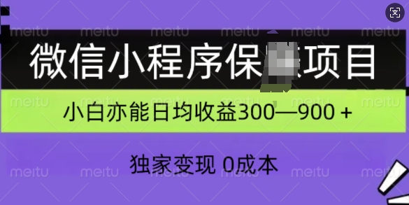 微信小程序保Z项目，独家变现，日均收益几张-小何资源库