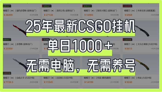 （14178期）25年最新CSGO挂机系统，单日1000+，无需电脑，无需养号，0基础可上手-小何资源库