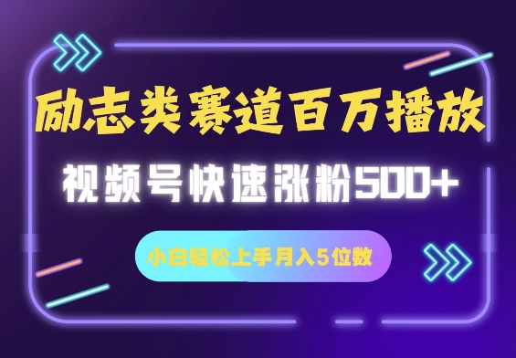 励志类赛道也能百万播放，快速涨粉500+视频号变现月入5位数-小何资源库