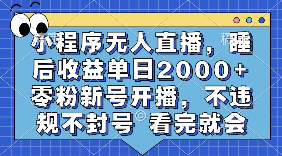 （13251期）小程序无人直播，睡后收益单日2000+ 零粉新号开播，不违规不封号 看完就会-小何资源库