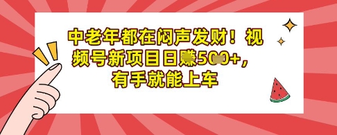 中老年都在闷声发财，视频号新项目日入多张，有手就能上车-小何资源库