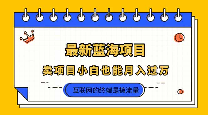 （14289期）2025年最新蓝海项目，卖项目小白也能月入过万-小何资源库