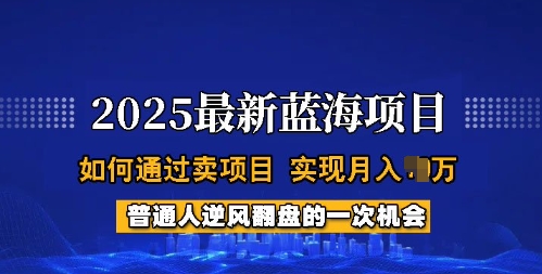 2025蓝海项目，普通人如何通过卖项目，实现月入过W，全过程【揭秘】-小何资源库