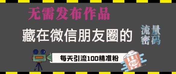 藏在微信朋友圈的流量密码，无需发布作品，单日引流100+精准创业粉【揭秘】-小何资源库