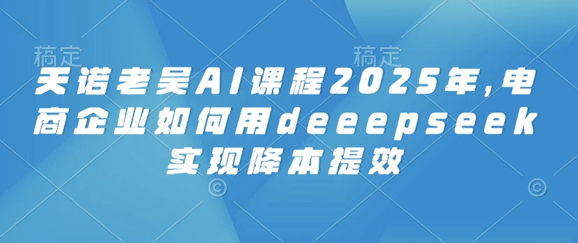 天诺老吴AI课程2025年，电商企业如何用deeepseek实现降本提效-小何资源库