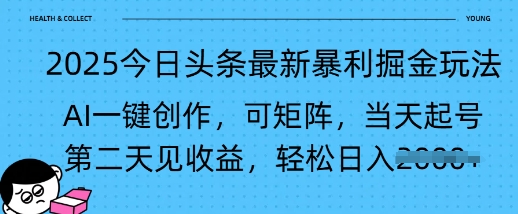 2025今日头条最新暴利掘金玩法，AI一键创作，可矩阵，当天起号，第二天见收益轻松日入多张-小何资源库