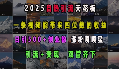 2025自热引流天花板，一条视频能带来四位数的收益，引流+变现双管齐下，日引500+创业粉，涨粉嘎嘎猛-小何资源库