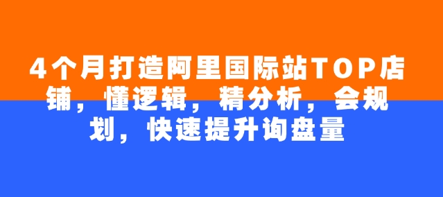 4个月打造阿里国际站TOP店铺，懂逻辑，精分析，会规划，快速提升询盘量-小何资源库