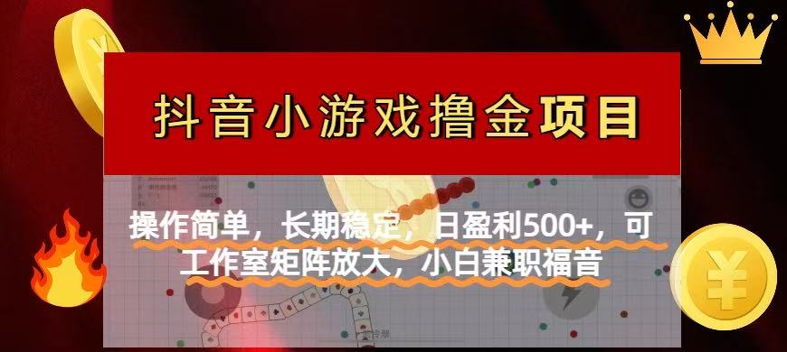 （14290期）【抖音小游戏发行人计划项目】操作简单，长期稳定，日盈利500+，可工作…-小何资源库