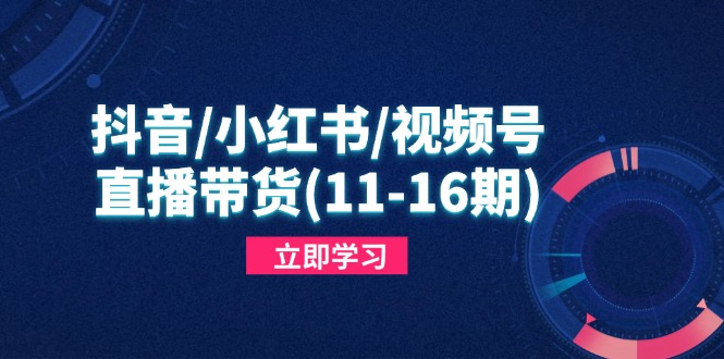 （14611期）抖音/小红书/视频号/直播带货(11-16期)，快速掌握平台规则，打造爆款内容-小何资源库
