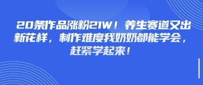 20条作品涨粉21W！养生赛道又出新花样，制作难度我奶奶都能学会，赶紧学起来-小何资源库