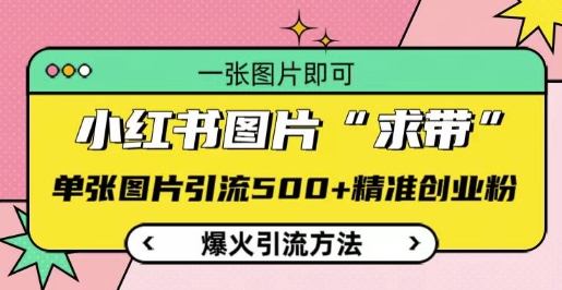 小红书图片‘求带’爆火引流法，单张图片引流500+精准创业粉【揭秘】-小何资源库