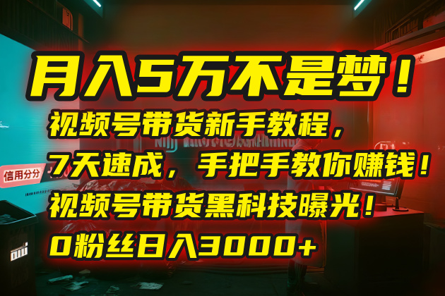 （15595期）月入5万不是梦！视频号带货新手教程，7天速成，手把手教你赚钱！视频号…-小何资源库