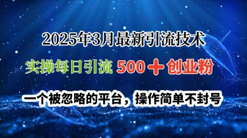 2025年3月最新引流技术，实操每日引流500+创业粉，一个被忽略的平台，操作简单不封号-小何资源库