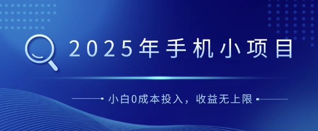 2025年手机小项目，简单易学，小白0成本投入，多劳多得-小何资源库