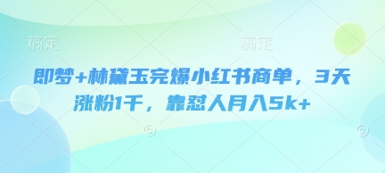 即梦+林黛玉完爆小红书商单，3天涨粉1千，靠怼人月入5k+-小何资源库