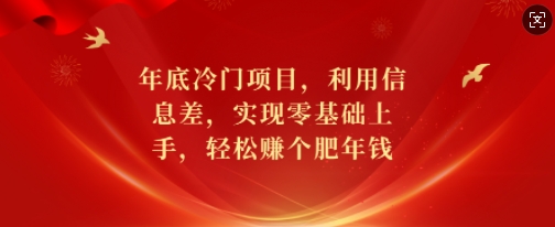 年底冷门项目，利用信息差，实现零基础上手，轻松赚个肥年钱【揭秘】-小何资源库