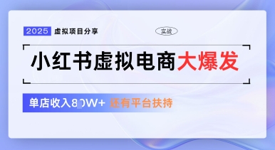 小红书虚拟电商项目，平台大力免费流量扶持，低门槛1拖3玩法-小何资源库
