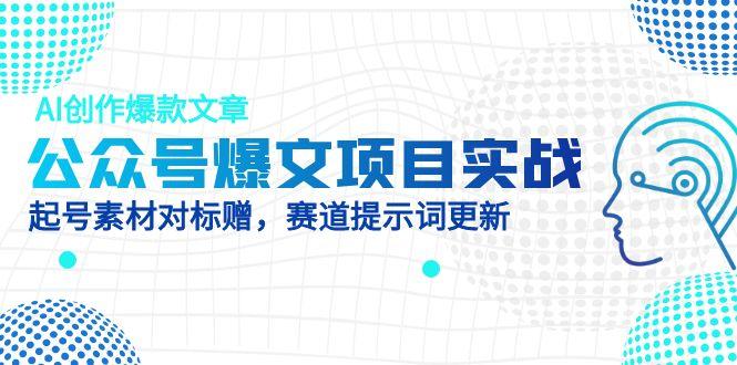 （14709期）公众号爆文项目实战，AI创作爆款文章，起号素材对标赠（附赛道AI提示词）-小何资源库