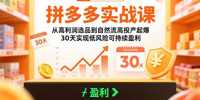 （15586期）拼多多实战课：从高利润选品到自然流高投产起爆 30天实现低风险可持续盈利-小何资源库