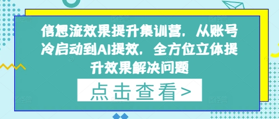信息流效果提升集训营，从账号冷启动到AI提效，全方位立体提升效果解决问题-小何资源库