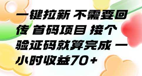 一键拉新 不需要回传 首码项目 接个验证码就算完成 一小时收益70+【揭秘】-小何资源库