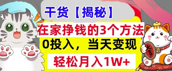 在家挣钱的3个方法，0投入，当天变现，轻松月入过W-小何资源库