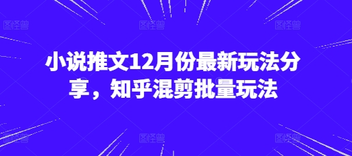 小说推文12月份最新玩法分享，知乎混剪批量玩法-小何资源库