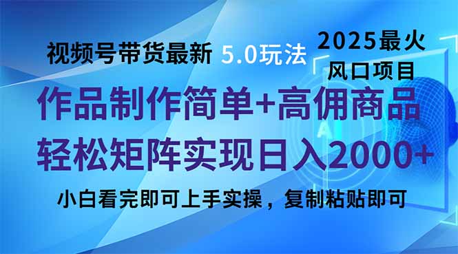 （14191期）视频号带货最新5.0玩法，作品制作简单，当天起号，复制粘贴，轻松矩阵…-小何资源库