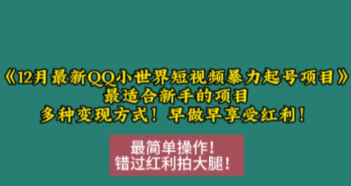 12月最新QQ小世界短视频暴力起号项目，最适合新手的项目，多种变现方式-小何资源库