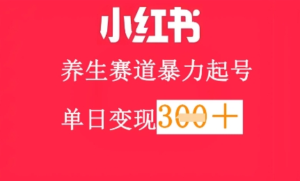 小红书养生赛道，暴力起号，轻松日入3张+-小何资源库