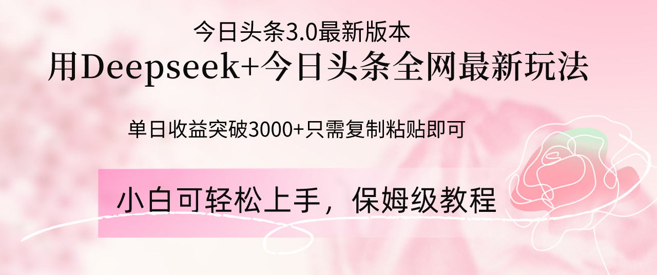 （14452期）Deepseek结合今日头条全网最新玩法，单日收益突破3000+，只需要简单的…-小何资源库